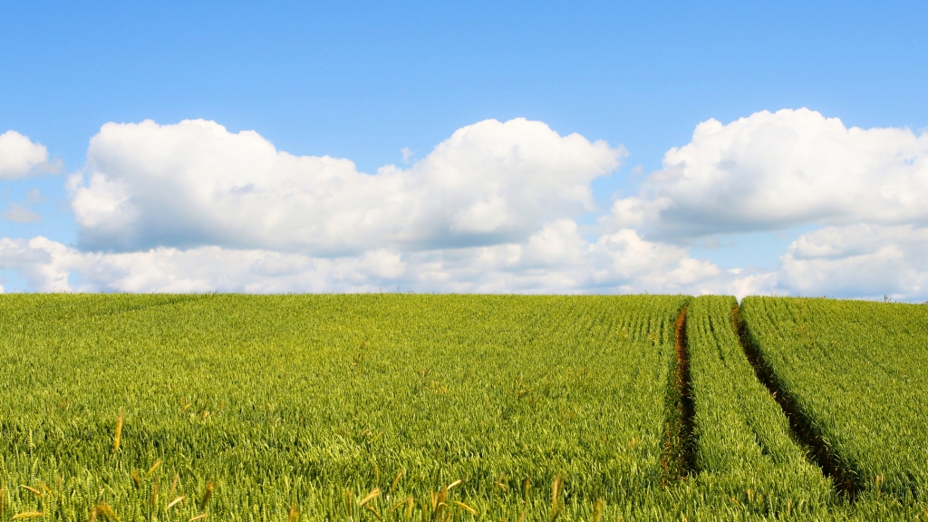 4c6338c7916cf6031a7166e84876133c025ddf43666f5-zaxG3q