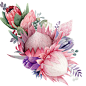 卡片文艺婚礼化妆品水彩紫色粉色花卉PNG免抠设计素材