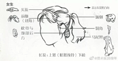 江河入戏采集到画画