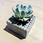 Lego Concrete Planter