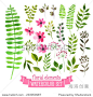 Vector floral set. Colorful floral collection with leaves and flowers, drawing watercolor. Spring or summer design for invitation, wedding or greeting cards 正版图片在线交易平台 - 海洛创意（HelloRF） - 站酷旗下品牌 - Shutterstock中国独家合作伙伴