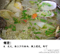 【花蛤冬瓜汤】用了煮花蛤的原汤做，除了盐别不需要加额外的调味料，味道就超级鲜美了，吃货们试试吧