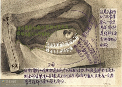 一分为二采集到画画  教材  教程