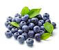 蓝莓_ 微海汇  #水果#