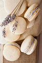 Honey Lavender Macarons