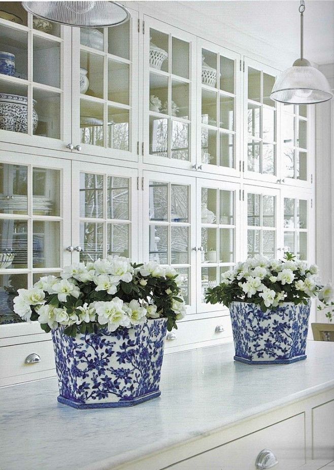  玻璃柜里，白色的花和蓝色花盆