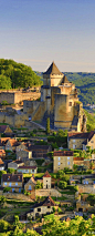 Castelnaud-LA-Chapelle的法国多尔多涅