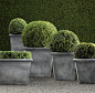 Estate Zinc Tapered Planters