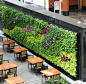 Green Wall Design - Vertical Garden Designs - Living Wall Design - Ambius