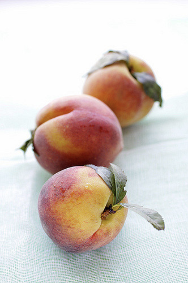 4cc03d644424537db21ce4f3fd7f4ddea6fdeb239424f-oE1E65