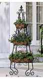 Vertical garden- would be great for annual herbs right outside the kitchen.