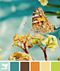 Design Seeds®: For All Who Love Color