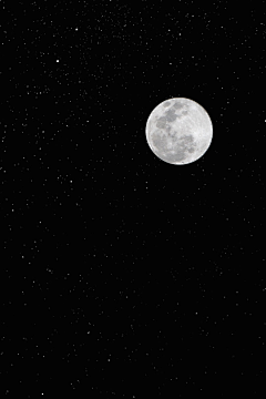 隔夜↖(^ω^)↗嗏采集到月是故乡圆