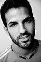 Cesc Fabregas