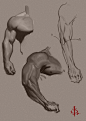 Some Arm Studies by FUNKYMONKEY1945