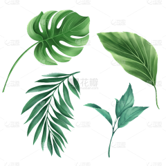 花瓣素材采集到绿植免抠元素