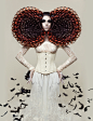 Contessa 2014 Avant Garde on Behance