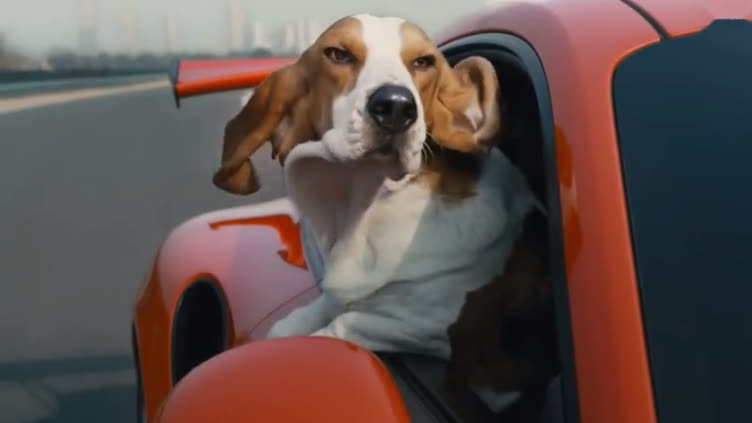 4d9974990785c63230f3fc87e06177c42977661a6212-sPxIQz