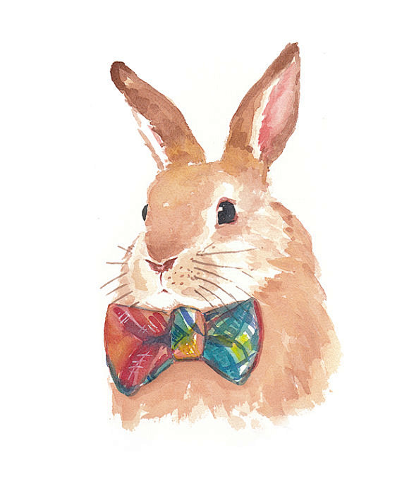 Bunny Rabbit PRINT -...