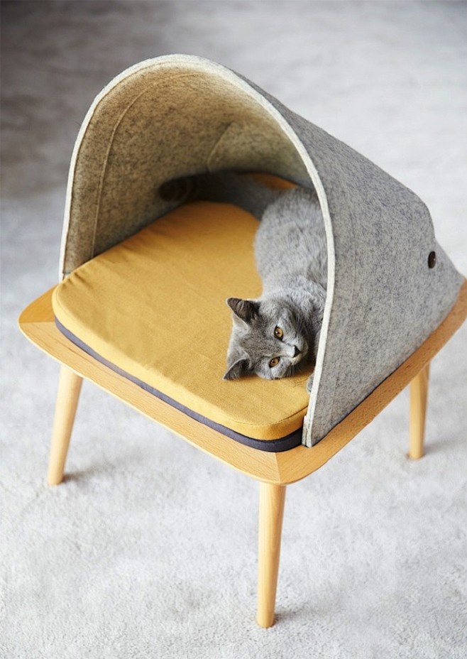 这个富有设计感的猫咪小窝来自于巴黎的一家...