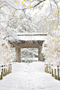 Temple in the snow, Meigetuin, Kamakura, Kanagawa, Japan