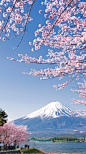 日本富士山