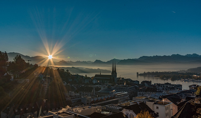 Lucerne Photo on Beh...