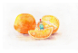 水果下午茶（组图）-小可鲁贝洛斯_插画,水彩,美食,小清新,治愈,童话_涂鸦王国插画