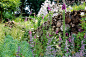 Biodiverse planting from Olympic Park garden designer Nigel Dunnett