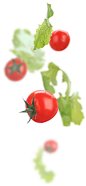 home-tomato.jpg (286×620)