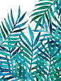 Watercolor Palm Leaves on White by micklyn: