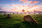 Joe Daniel Price在 500px 上的照片Misty Sunrise, Stone Circle, Icklesham, Sussex, England