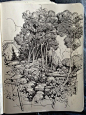 Ian McQue: Sketchbook: Forest. ...