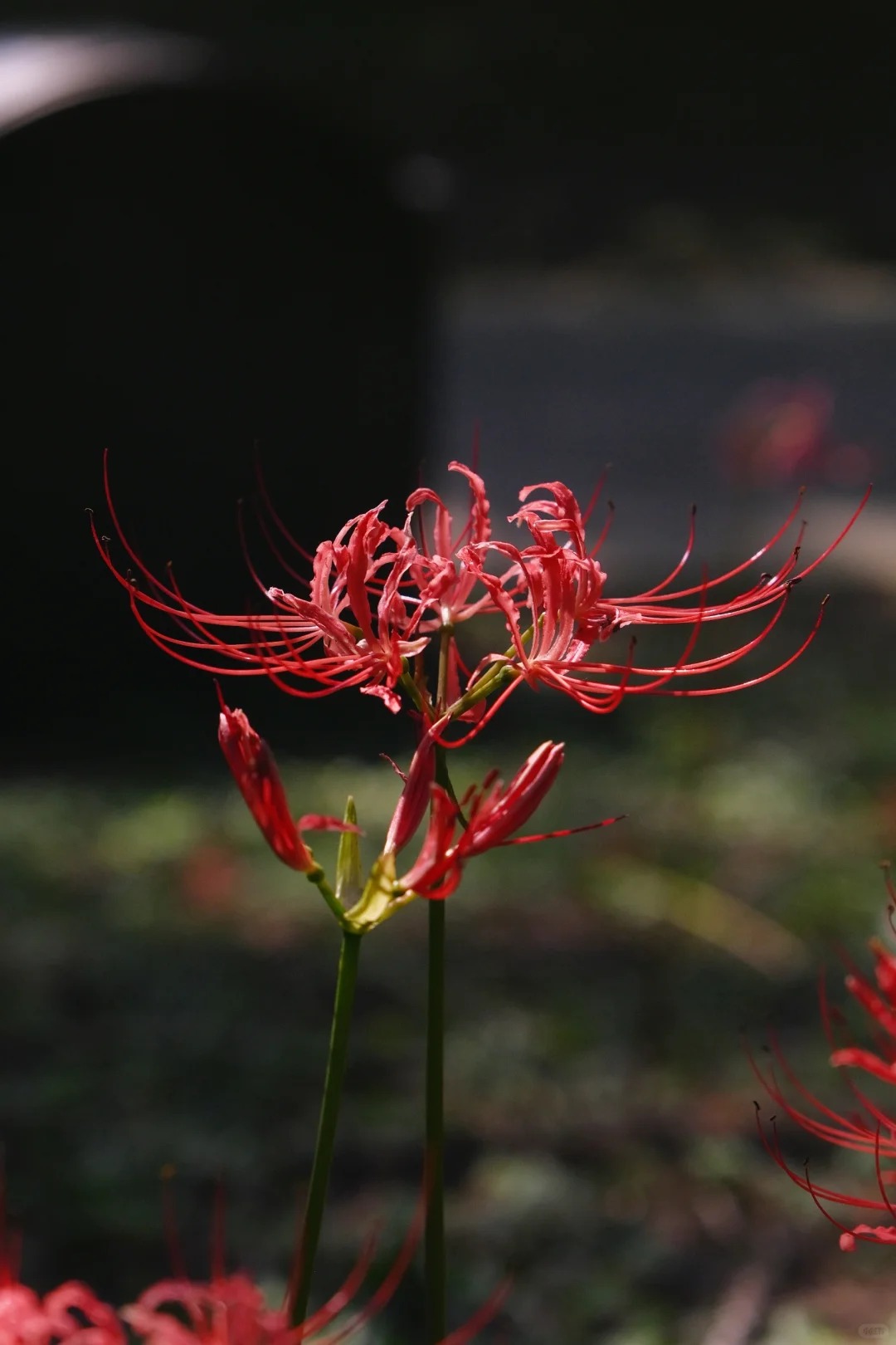 4e1b8914e5b38022d5582fa46060e6ad2b9ef0a42a56a-Uu5qVE