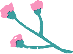 XCsss采集到素材