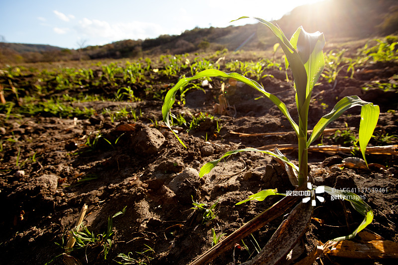 4e3a6897b8776bfd6fb331abc44952a606d8aad43acfc-JO5kBC