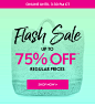 Flash Sale