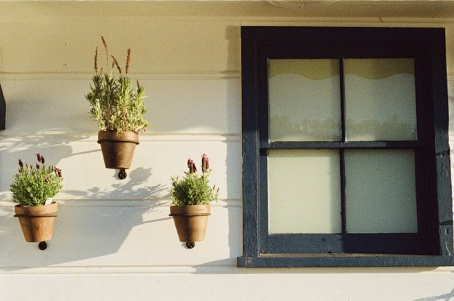 Flowerpots, House, W...