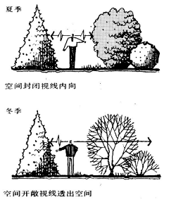 默默不说话采集到植物配置