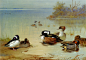 【Archibald Thorburn (1860-1935)】Thorburn_Archibald_Buffel_Headed_Duck_American_Green_Winged_Teal_And_Hooded_Merganser