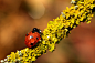 Photograph water carrier by Mark Bridger on 500px