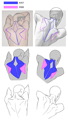 可乐的可乐采集到插画 - 人体