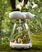且听风吟|DIY苔藓微景观生态瓶创意绿植|爱稀奇|酷蝌星球