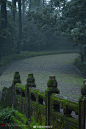 灵谷雨后，水月镜花， 2南京·南京灵谷寺 ​​​​