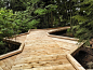 森林木栈道Cathedral Boardwalk Trail-mooool设计