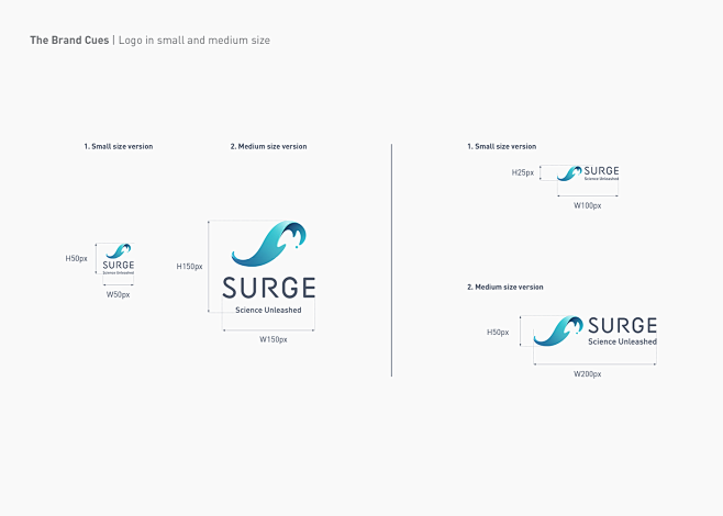 SURGE : Visual ident...