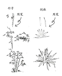 谢潍君采集到花纹