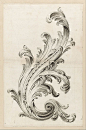 “阿堪萨斯”（acanthus）的花纹，在西方装饰艺术中常常用到一个图案，带着叶片的形状，卷曲而柔美的线条，至今仍是众多艺术家的宠儿。