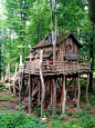 cabins exterior - tree cabin