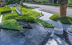 黑灰鸽子采集到景观——植物